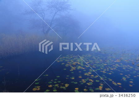 霧の一沼 3436250