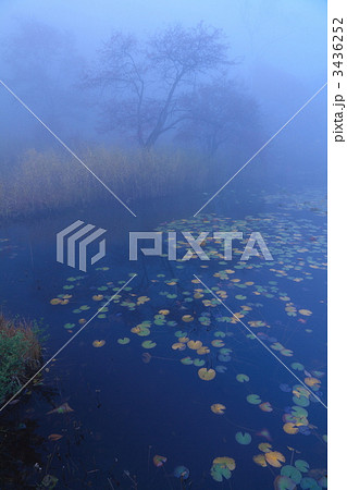 霧の一沼 3436252