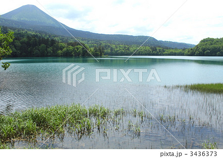 オンネトーの湖畔 3436373