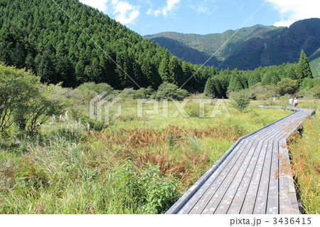 小田貫湿原・西側の湿原 3436415