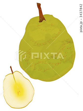 ラフランス 3437842