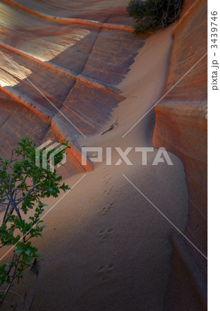 ザウェーブ アメリカの秘境 ザウェーブ アメリカの秘境 3439746