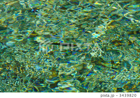 清流を泳ぐ川魚 清流を泳ぐ川魚 3439820