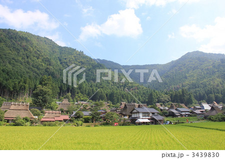 夏の美山 3439830