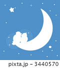 月夜（三日月）と鳥たち 3440570