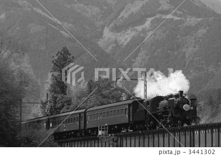 3441302