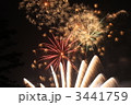 群馬県民の日　ドイツ村花火 3441759