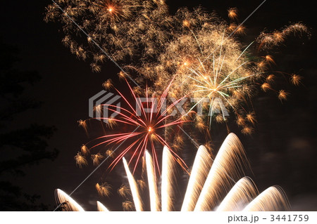 群馬県民の日 ドイツ村花火の写真素材