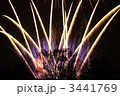群馬県民の日　ドイツ村花火 3441769