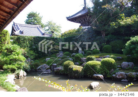 穴太寺の庭園 3442546