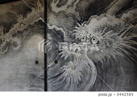 龍源院・方丈室中の襖絵「龍図」 龍源院・方丈室中の襖絵「龍図」 3442565