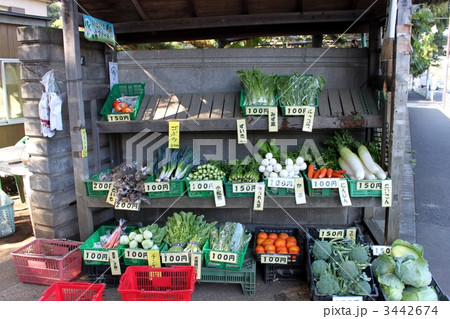 野菜直売所 3442674