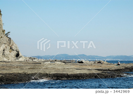 江の島稚児ヶ淵の磯釣り 3442969