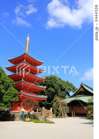 東長寺の五重塔 東長寺の五重塔 3444509