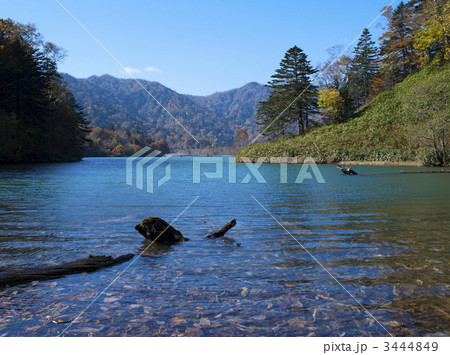 オコタンペ湖 3444849