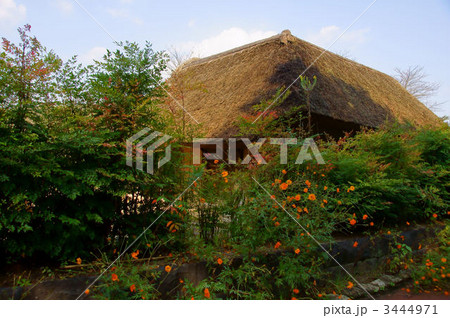 藁葺き屋根 3444971