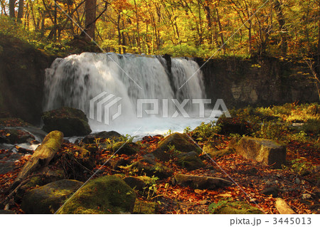 銚子大滝の紅葉 銚子大滝の紅葉 3445013