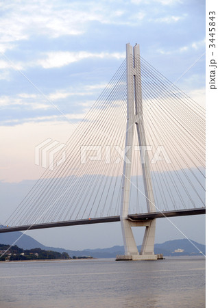 多々良大橋　主塔 3445843