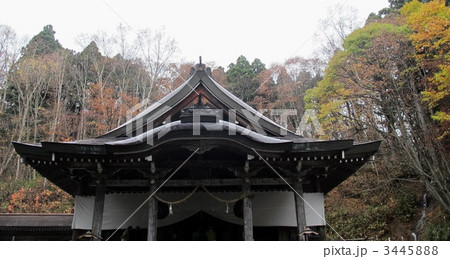 戸隠神社　中社 3445888