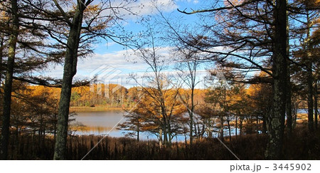 女神湖の紅葉 女神湖の紅葉 3445902