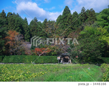 小さい秋見つけた 3446166