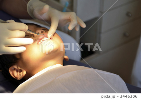 歯科 3446306