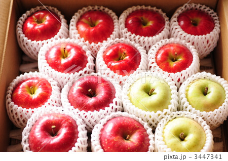 林檎の合唱隊 林檎の合唱隊 3447341