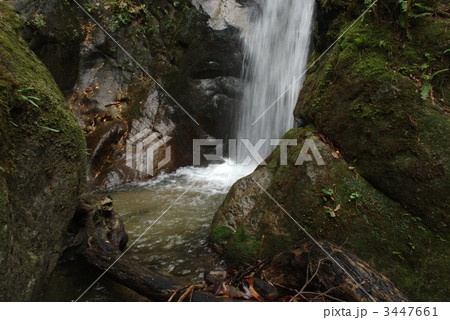 五頭山麓 不動の滝 滝壷 五頭山麓 不動の滝 滝壷 3447661
