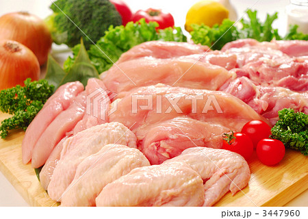 鶏肉 3447960