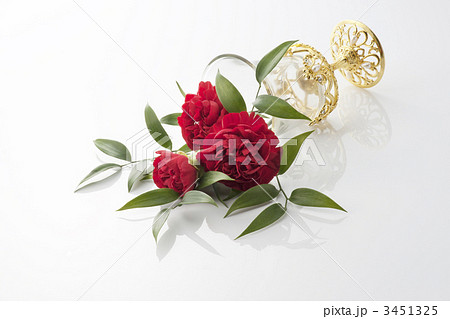 背景素材 3451325