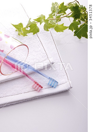 歯磨き 歯磨き 3451378