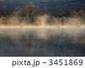 朝霧に映える貴婦人 3451869