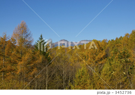 紅葉林と八ヶ岳遠望１ 3452736