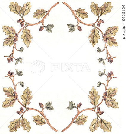 植物フレーム（クヌギ） 3453254