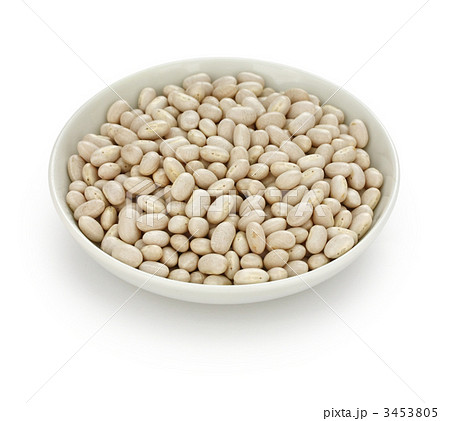 白インゲン豆 3453805