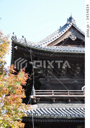 大樹寺 三門 大樹寺 三門 3454834