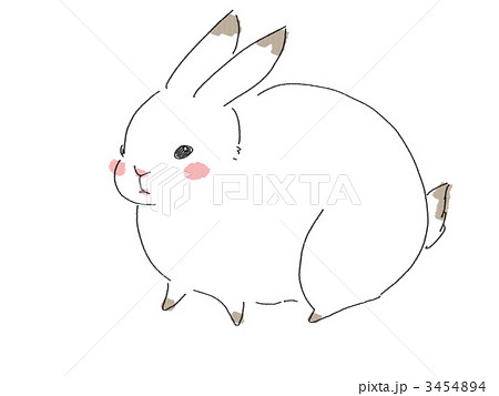 Himalayan Rabbit Stock Illustration