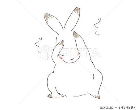 Himalayan Rabbit Stock Illustration 3454897 Pixta