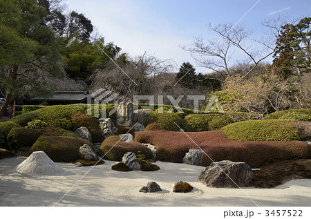 早春の枯山水 早春の枯山水 3457522