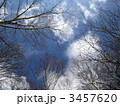 3457620