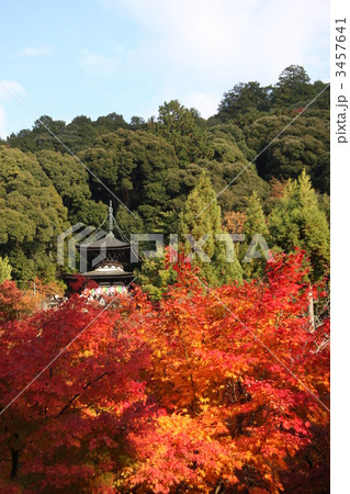 紅葉の永観堂(京都) 紅葉の永観堂(京都) 3457641