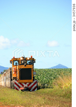 サトウキビ列車とバナナ畑 3457936