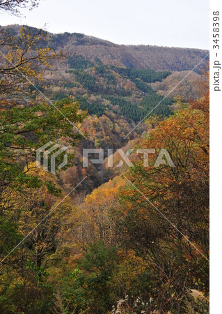 秋山郷の紅葉 3458398