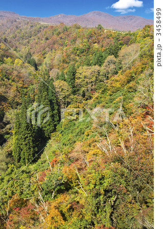 長野　飯山　鍋倉高原 3458499