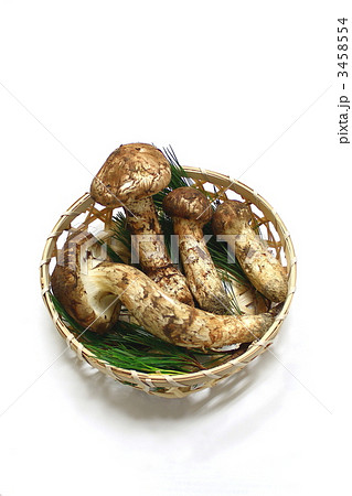 マツタケ 3458554