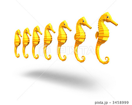タツノオトシゴ 順番待ち 縁起物のイラスト素材