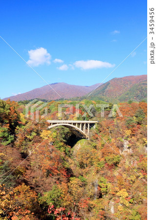 鳴子峡の紅葉 3459456
