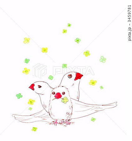 文鳥家族 3459781