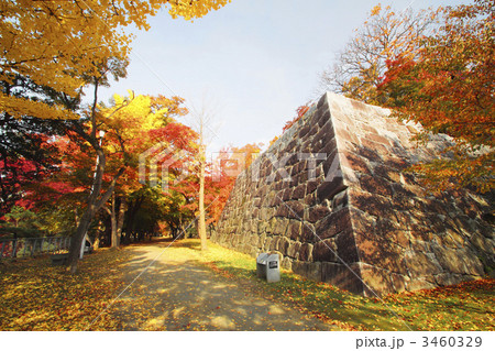 盛岡城跡公園の紅葉 3460329