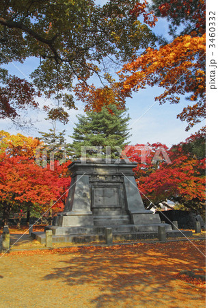 盛岡城跡公園の紅葉 3460332